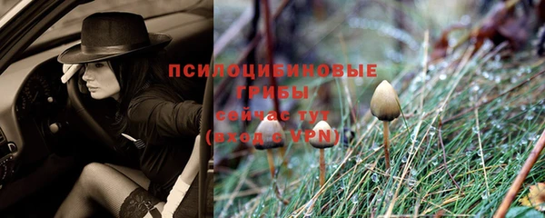 прущая мука Нязепетровск